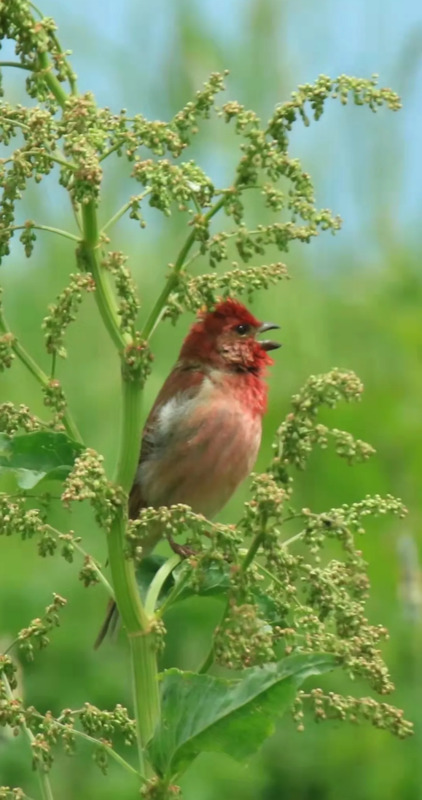 愿孩子成长的唯美句子【孩子愿你此生唯美的诗】