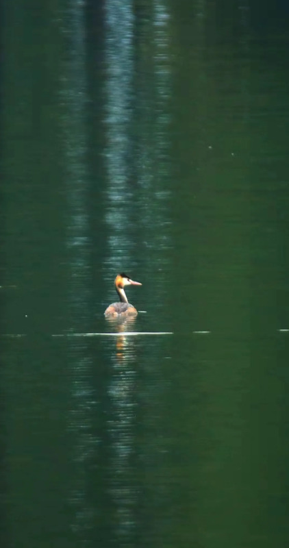 愿孩子成长的唯美句子【孩子愿你此生唯美的诗】