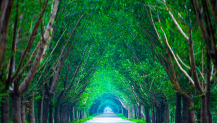 愿孩子成长的唯美句子【孩子愿你此生唯美的诗】