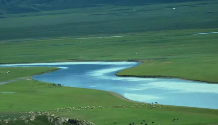 愿孩子成长的唯美句子【孩子愿你此生唯美的诗】