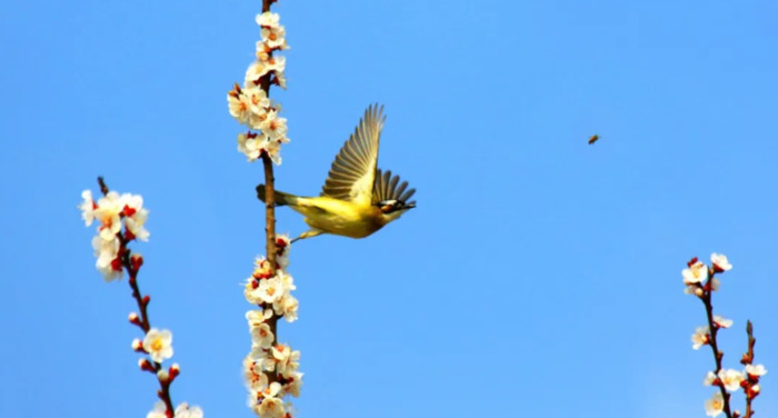 愿孩子成长的唯美句子【孩子愿你此生唯美的诗】