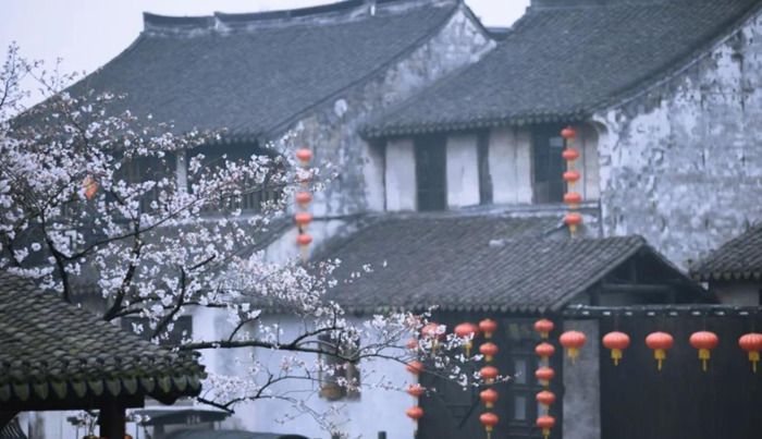 形容花开的唯美短句【花开的时候的唯美句子】