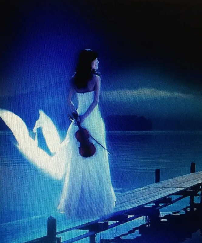 描写秋天的思念的优美句子【秋天的怀念句子】