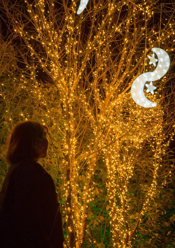 描写秋天的思念的优美句子【秋天的怀念句子】