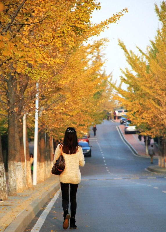 描写秋天的思念的优美句子【秋天的怀念句子】