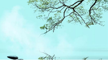 唯美的词语【形容唯美的词语】