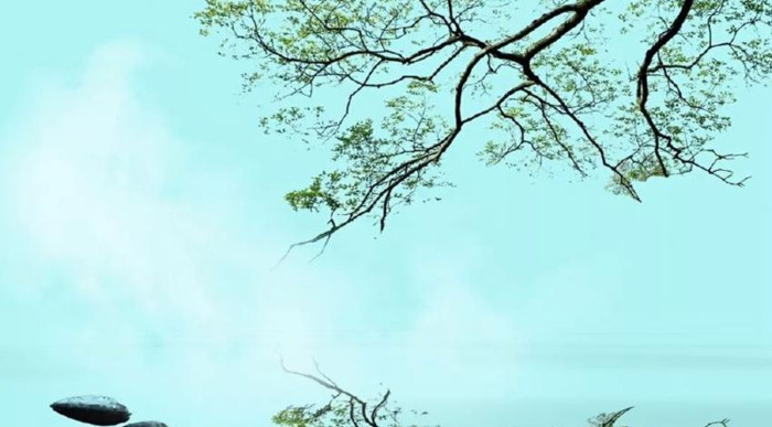 唯美的词语【形容唯美的词语】