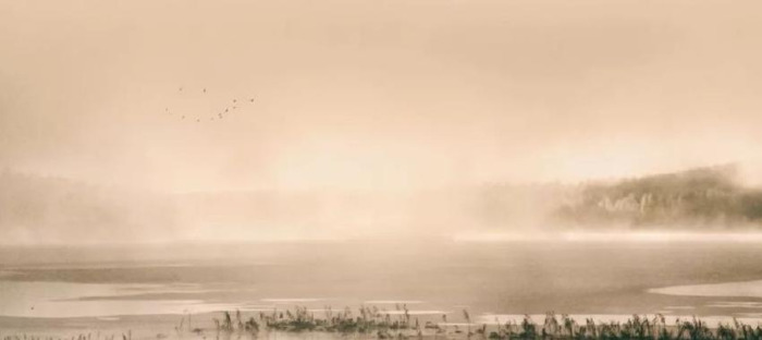 唯美的词语【形容唯美的词语】