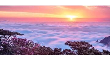 早晨的太阳唯美的词语【赞美早晨太阳的词语】