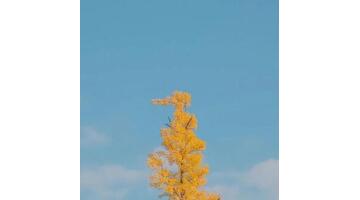 温馨的大家庭优美句子【有爱的大家庭句子】