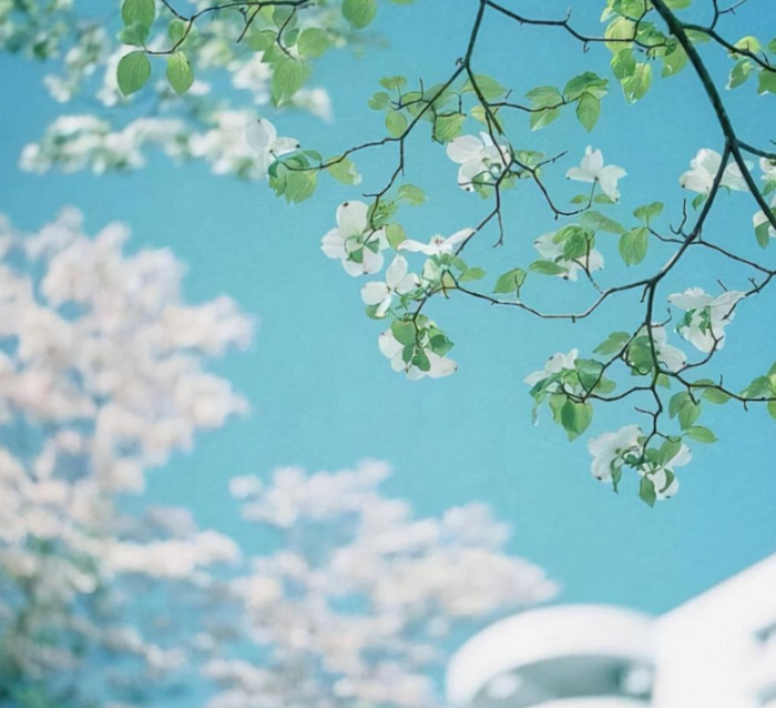 温馨的大家庭优美句子【有爱的大家庭句子】