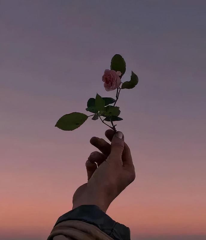 温馨的大家庭优美句子【有爱的大家庭句子】