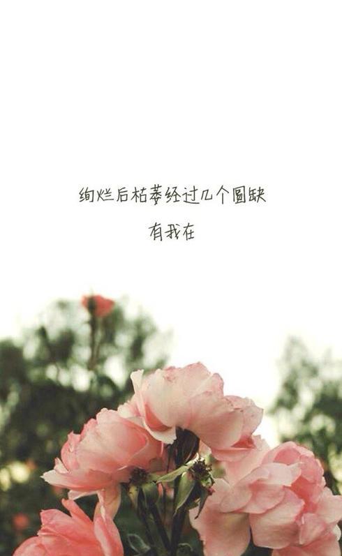 温馨的大家庭优美句子【有爱的大家庭句子】