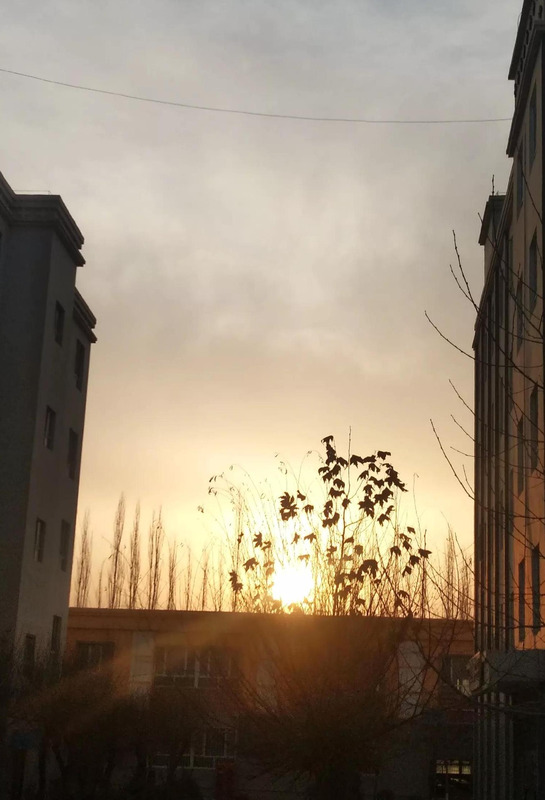 冬日物语短句【物语的经典句子】