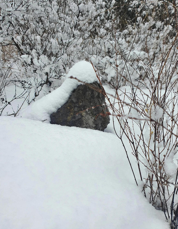 期待下大雪的句子【关于期待雪的句子】