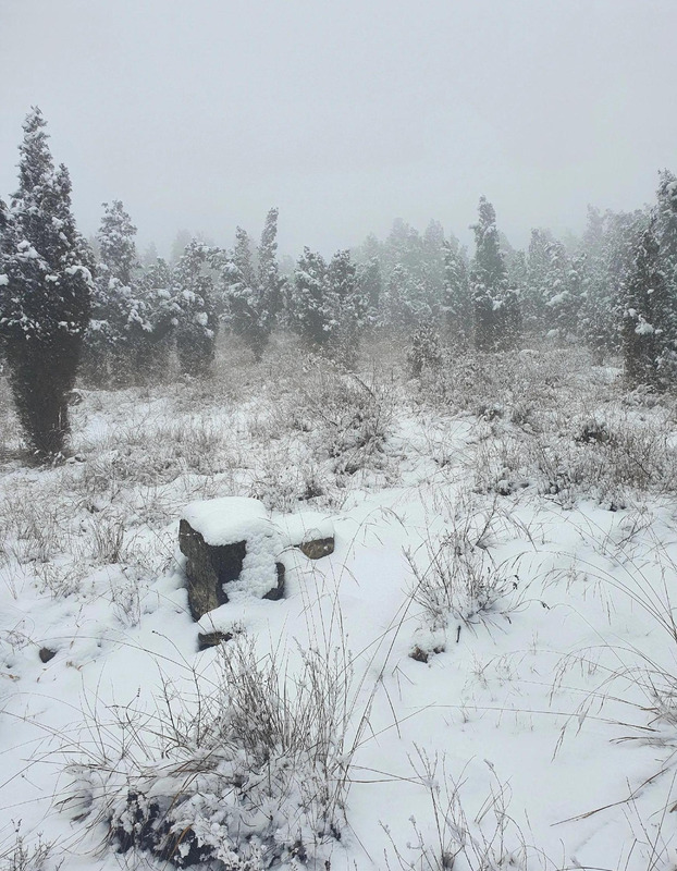 期待下大雪的句子【关于期待雪的句子】
