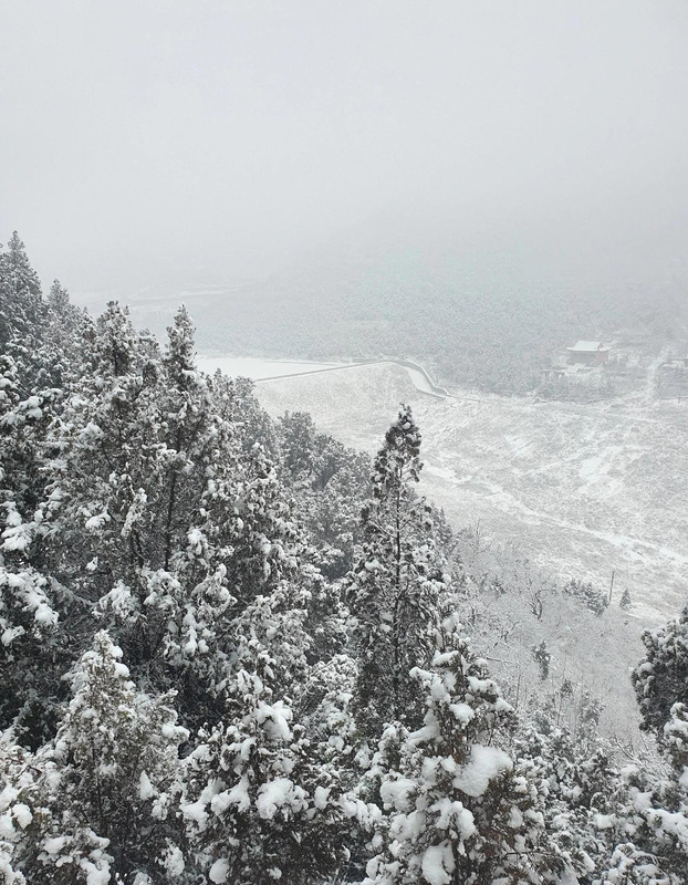 期待下大雪的句子【关于期待雪的句子】
