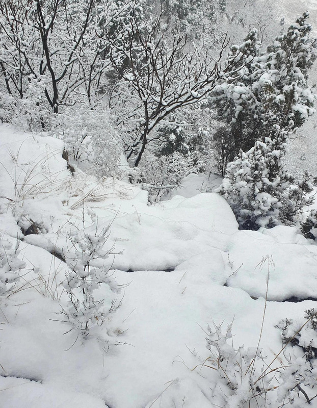 期待下大雪的句子【关于期待雪的句子】