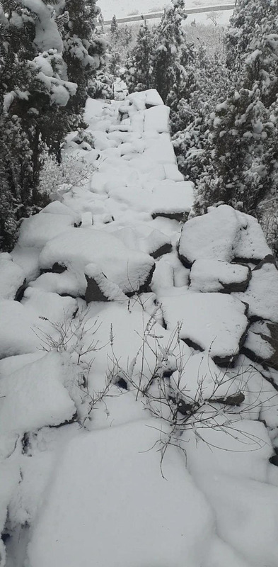期待下大雪的句子【关于期待雪的句子】