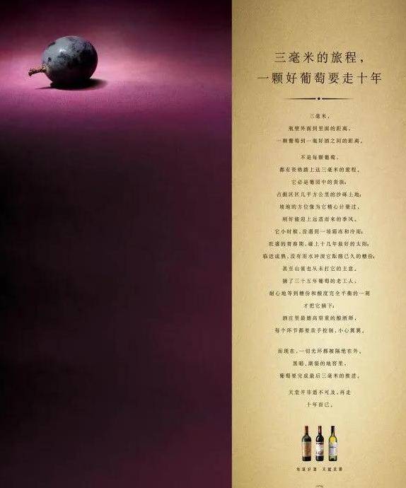 专业的广告语的宣传语【表示专业的广告语】