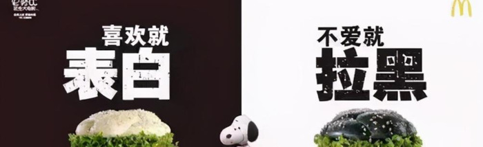 专业的广告语的宣传语【表示专业的广告语】