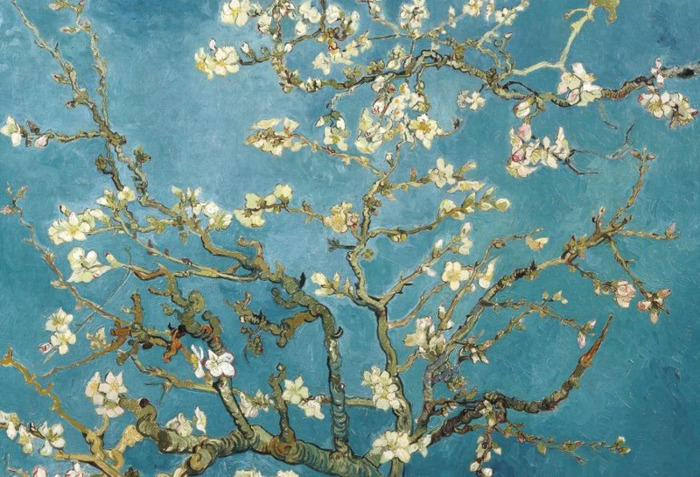 适合发朋友圈的春天文案杏花【关于春天阳光的朋友圈文案】