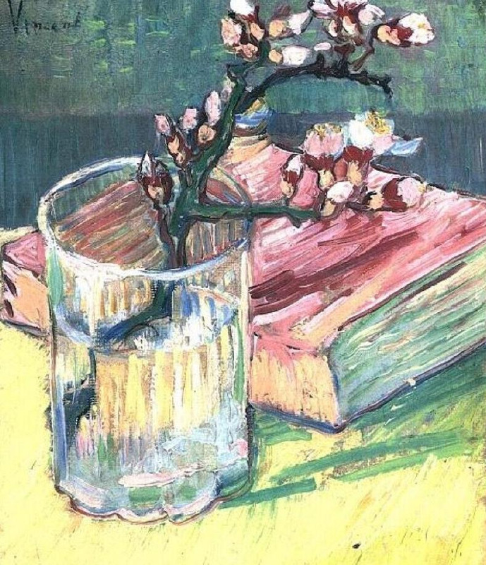 适合发朋友圈的春天文案杏花【关于春天阳光的朋友圈文案】