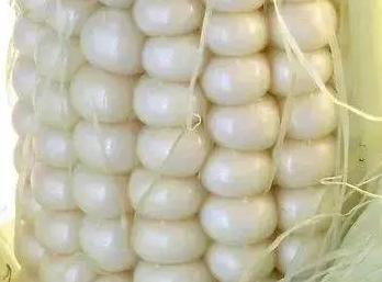 黄色的颜色都有哪些【黄色的颜色种类】