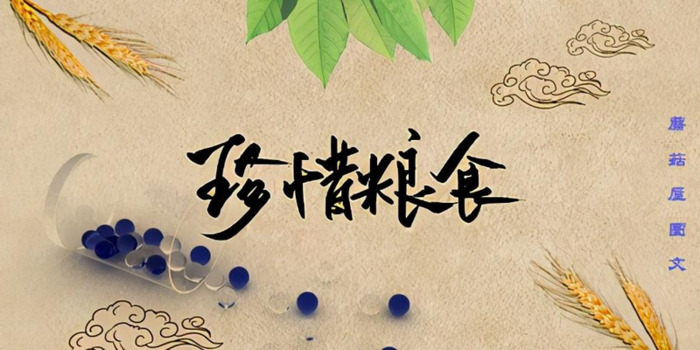 不要浪费粮食的宣传语【不要浪费粮食的标语】