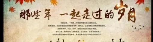 一起走过的岁月感言友情【感慨一起走过的时光】