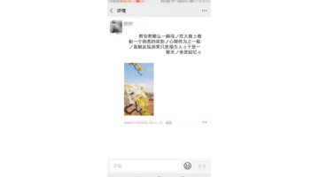 怎样发朋友圈吸引人图片【怎样发朋友圈吸引人注意】