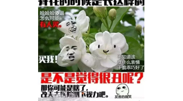 电商从业者搞笑图片【电商压力大搞笑图片】