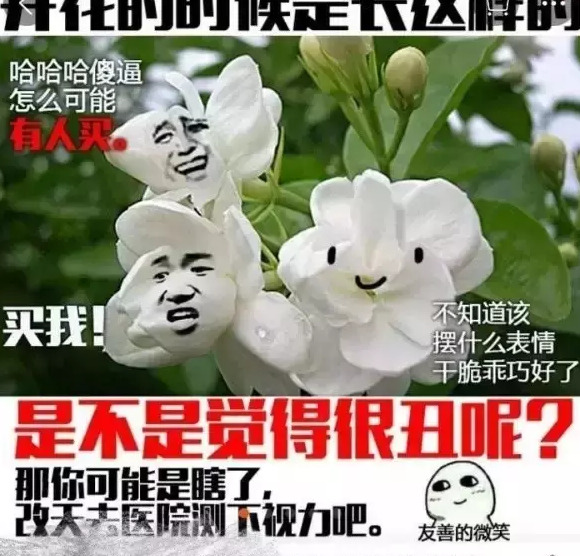电商从业者搞笑图片【电商压力大搞笑图片】