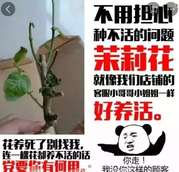 电商从业者搞笑图片【电商压力大搞笑图片】