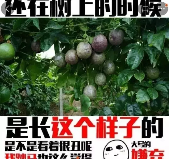 电商从业者搞笑图片【电商压力大搞笑图片】