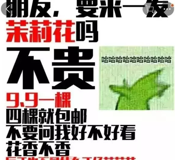 电商从业者搞笑图片【电商压力大搞笑图片】