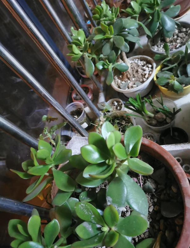 节日需要仪式感的短句【节日需要仪式感的句子发朋友圈】