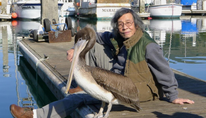 关则驹油画高清大图 作品【关则驹高清油画作品】