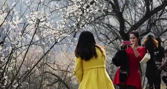 关于爬山的感想【爬山感悟心语】