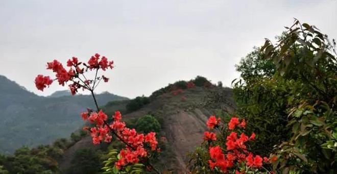 关于爬山的感想【爬山感悟心语】