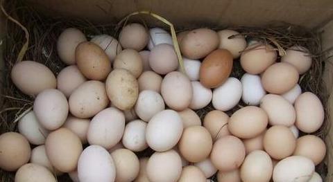 菜鸟驿站一个月的盈利多少【菜鸟驿站一个月的盈利站如何盈利】