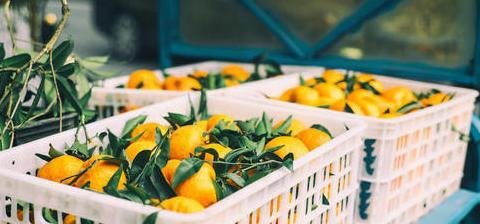 菜鸟驿站一个月的盈利多少【菜鸟驿站一个月的盈利站如何盈利】