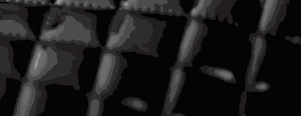 香奈儿的标志logo含义【香奈儿的标志logo衣服】