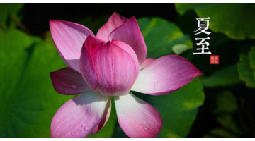 销售爆单的口号【销售爆单文案】