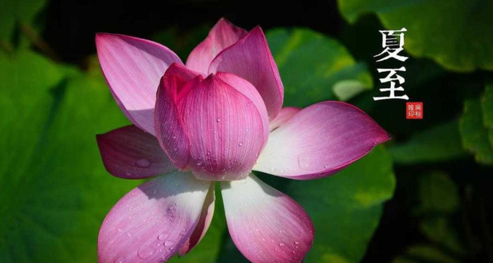 销售爆单的口号【销售爆单文案】