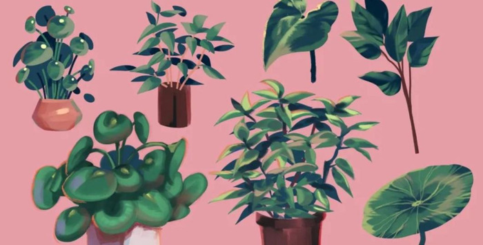 好看头像女生梦幻星空【梦幻星空彩铅画】