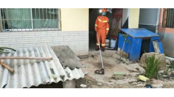 国家二级保护动物蛇类【蛇是国家几级保护】