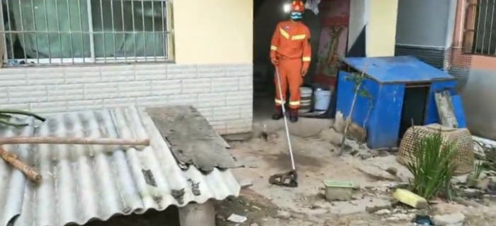 国家二级保护动物蛇类【蛇是国家几级保护】