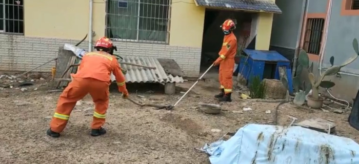 国家二级保护动物蛇类【蛇是国家几级保护】