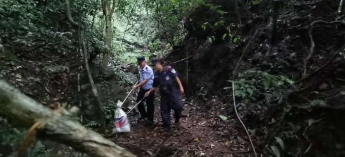 国家二级保护动物蛇类【蛇是国家几级保护】